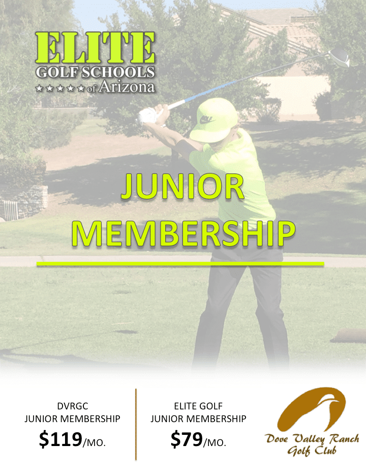 Junior Golf Lessons with Elite Golf Schools of AZ